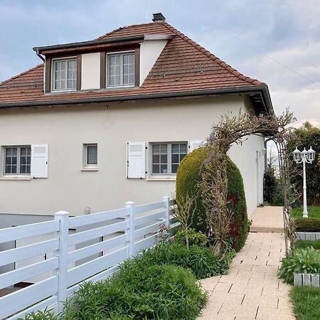 Le Papillon,Logement Cosy En Alsace Erstein Zewnętrze zdjęcie