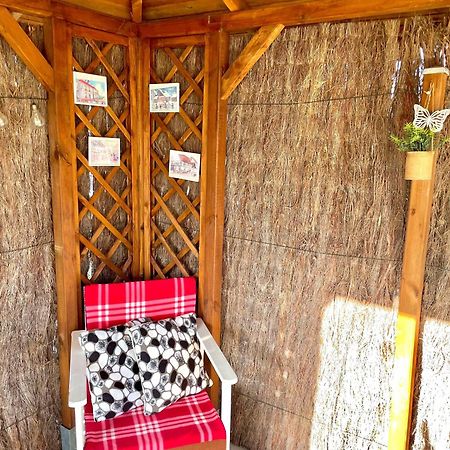 Le Papillon,Logement Cosy En Alsace Erstein Zewnętrze zdjęcie