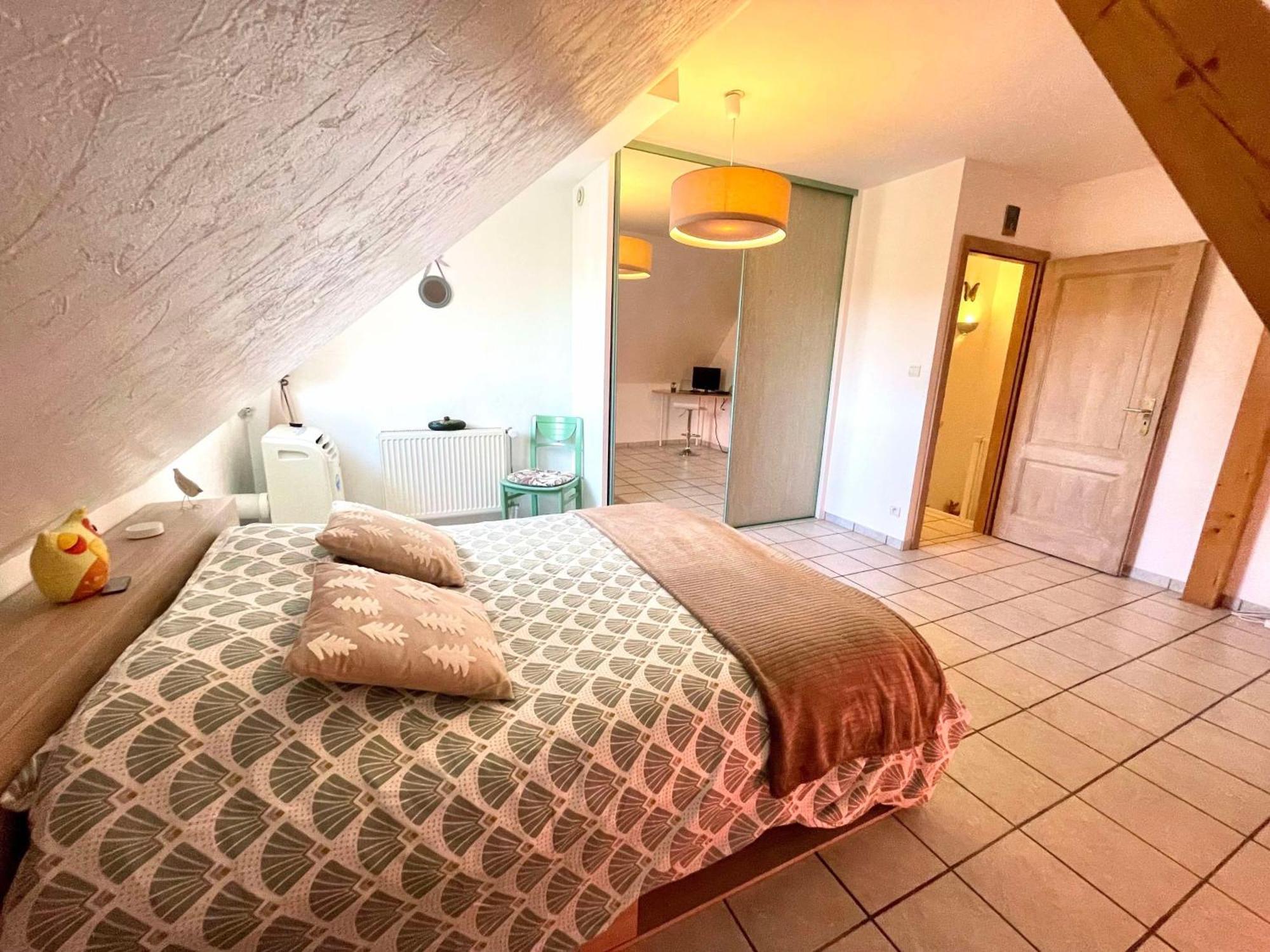 Le Papillon,Logement Cosy En Alsace Erstein Zewnętrze zdjęcie