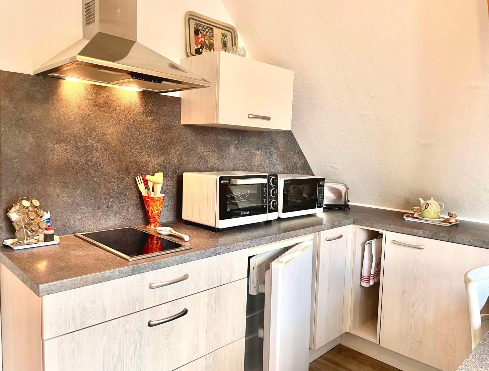 Le Papillon,Logement Cosy En Alsace Erstein Zewnętrze zdjęcie